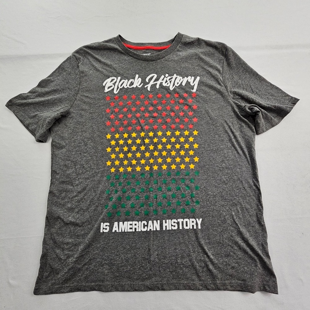 Black History American History Gray Short Sleeve Cotton Blend T-Shirt Adult XL